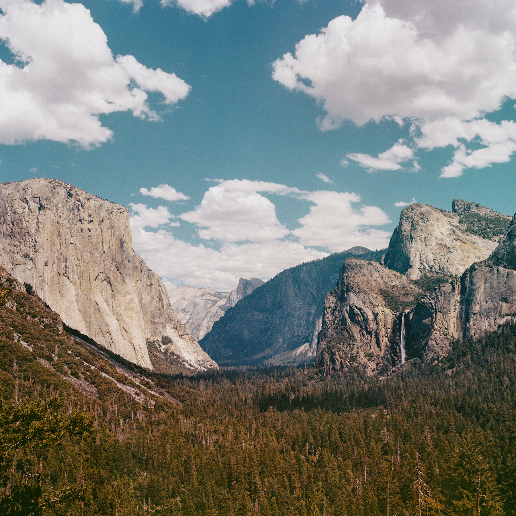 a scan of a color negative of a medium format photo. photo is of the Yosemite peaks from tunnel view, showing the peaks in the background and some trees in the foreground