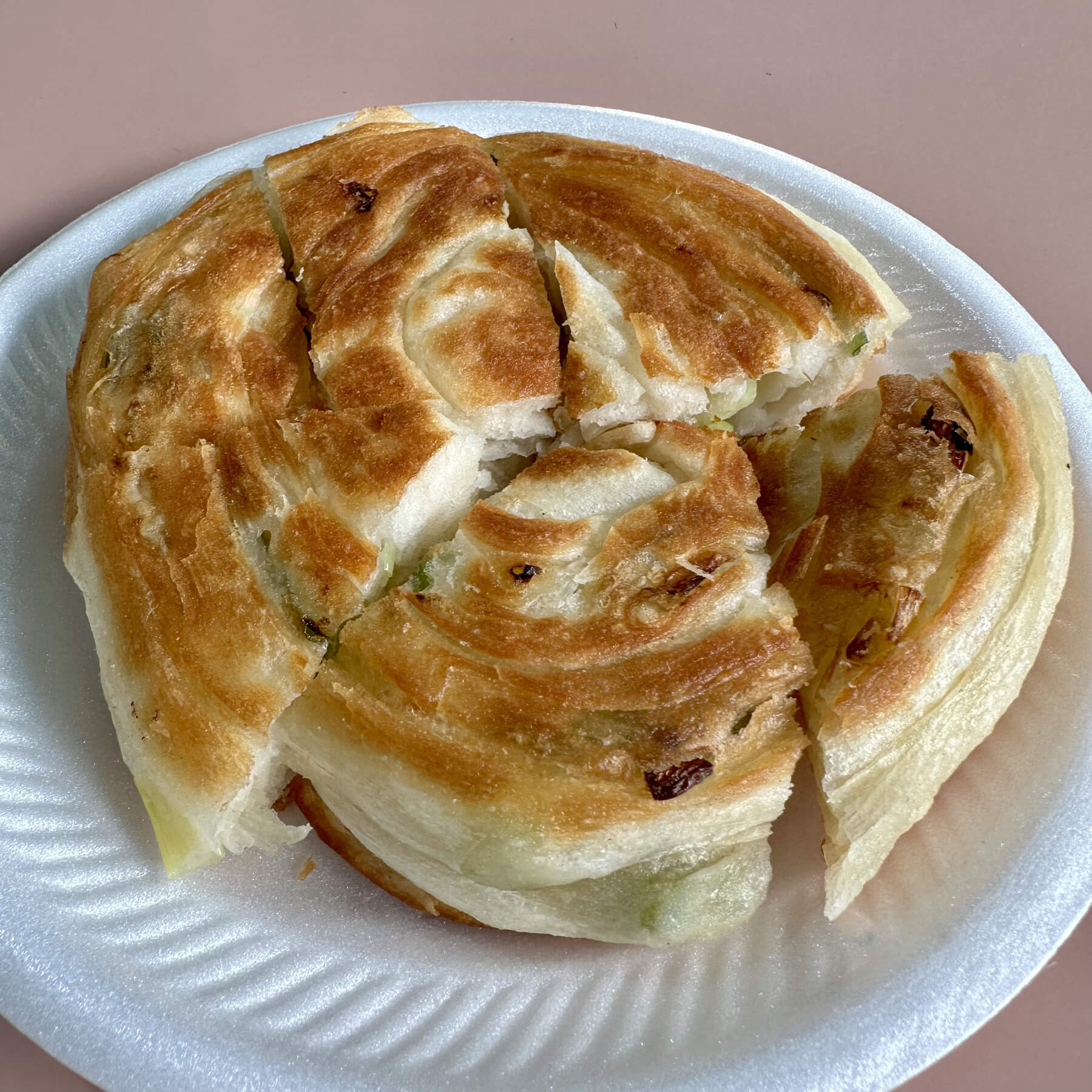 a photo of scallion pancake