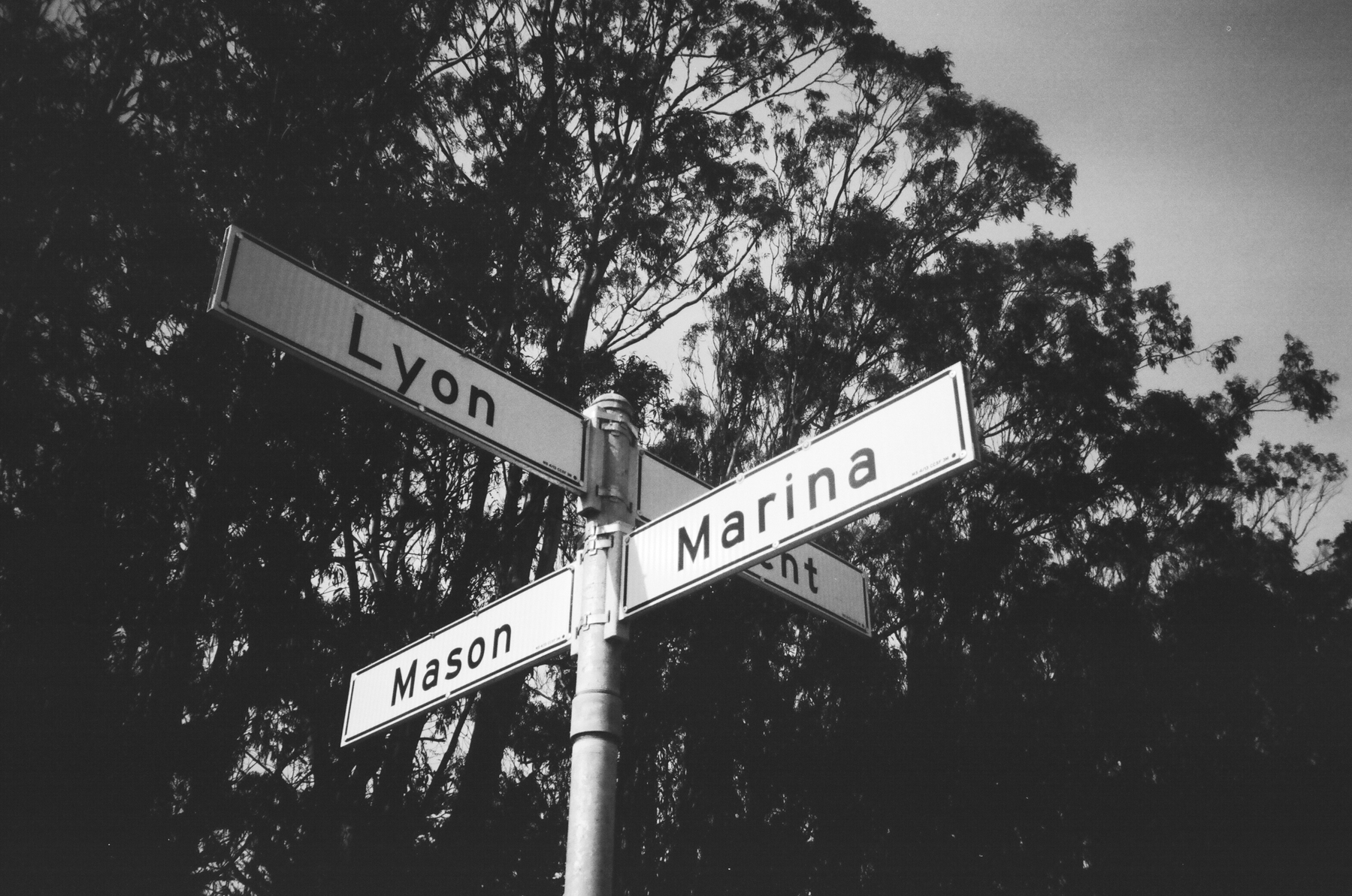 a black and white photograph of some signs that say Lyon, Marina and Mason in front of some trees