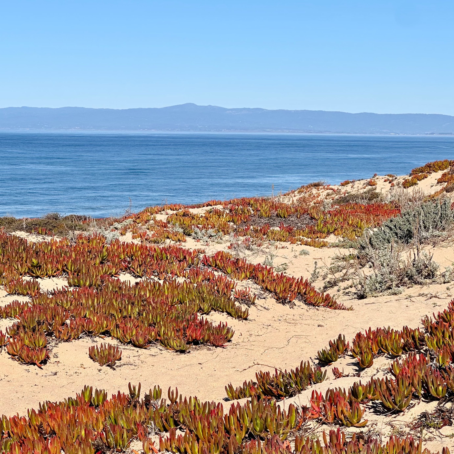 A photo of the bay in Monterey near Seaside