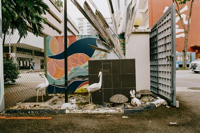 a scan of a color photo showing little weird statues of cats, swans and rabbits in a car park in singapore