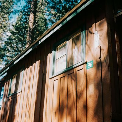 a scan of a color negative of a medium format photo. photo is of a wooden cabin with the number 96 in the foreground, and trees in the background