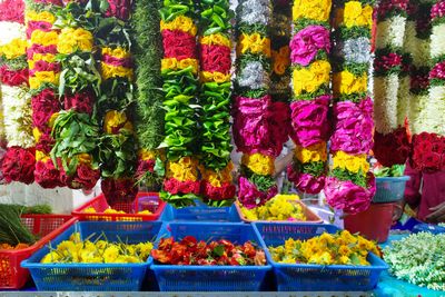 a color photo of some jasmine flowers for the temple