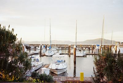 a scan of a medium format film photograph of some boats on the water at Fort Mason