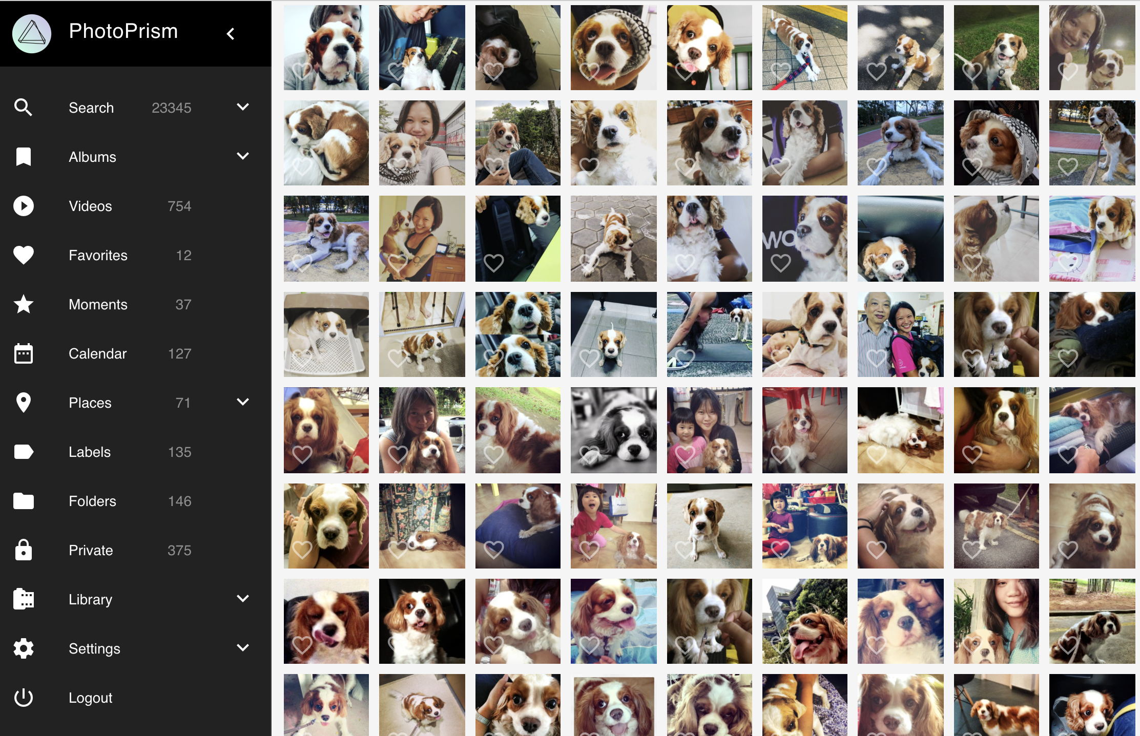 Screenshot of PhotoPrism showing lots of dogs in the pictures